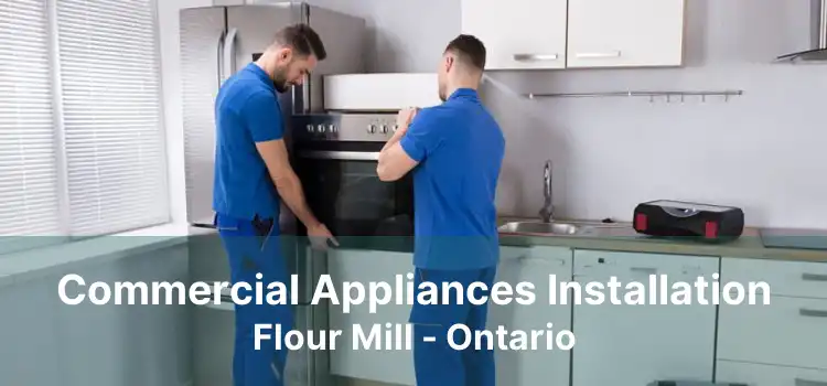 Commercial Appliances Installation Flour Mill - Ontario