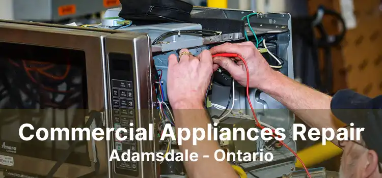 Commercial Appliances Repair Adamsdale - Ontario