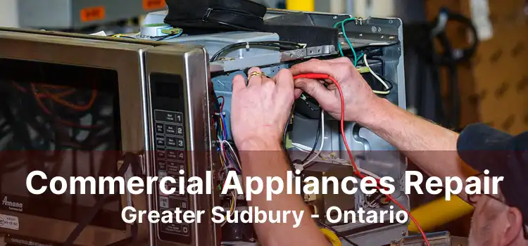 Commercial Appliances Repair Greater Sudbury - Ontario