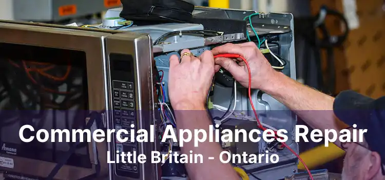 Commercial Appliances Repair Little Britain - Ontario