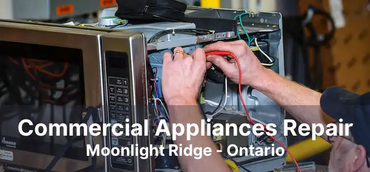 Commercial Appliances Repair Moonlight Ridge - Ontario