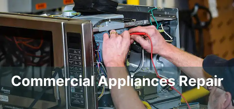 Commercial Appliances Repair