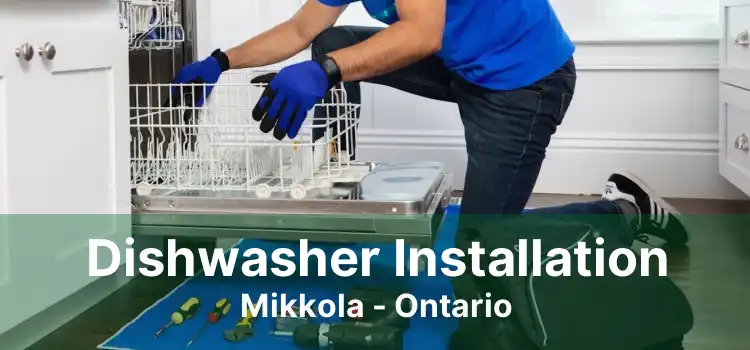 Dishwasher Installation Mikkola - Ontario