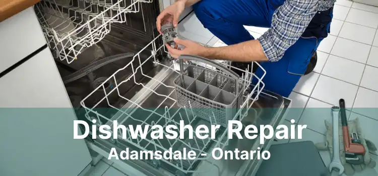 Dishwasher Repair Adamsdale - Ontario