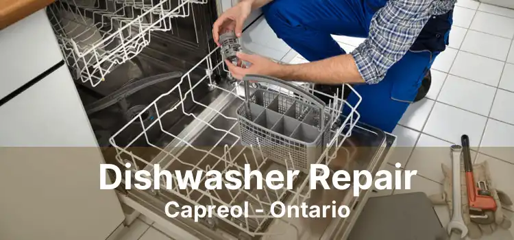 Dishwasher Repair Capreol - Ontario