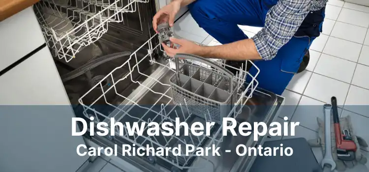 Dishwasher Repair Carol Richard Park - Ontario