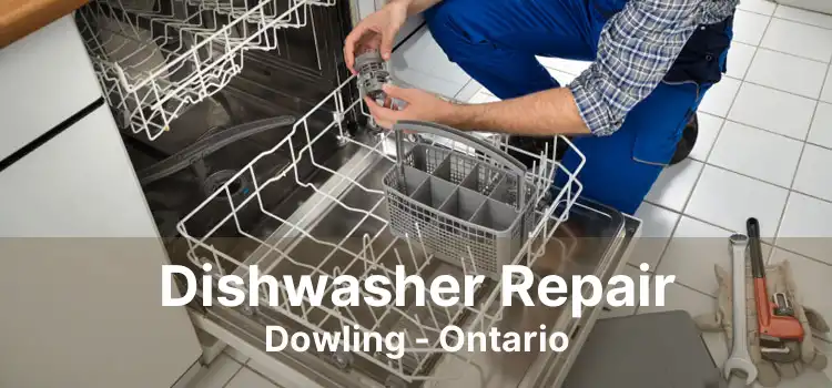 Dishwasher Repair Dowling - Ontario
