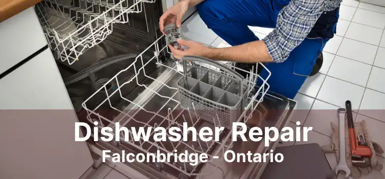 Dishwasher Repair Falconbridge - Ontario