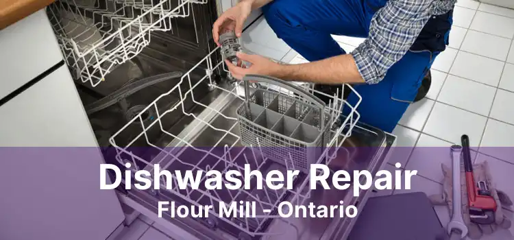 Dishwasher Repair Flour Mill - Ontario