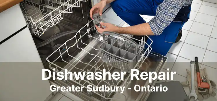 Dishwasher Repair Greater Sudbury - Ontario