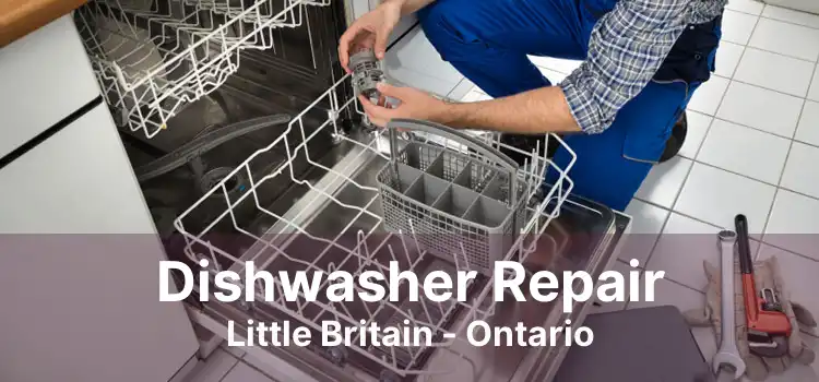 Dishwasher Repair Little Britain - Ontario