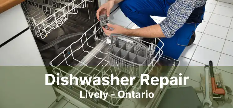Dishwasher Repair Lively - Ontario