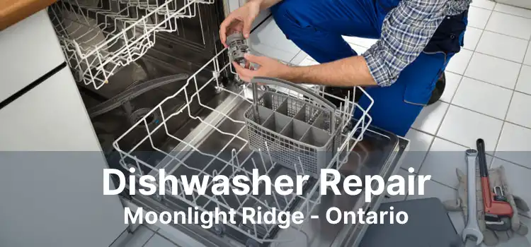 Dishwasher Repair Moonlight Ridge - Ontario