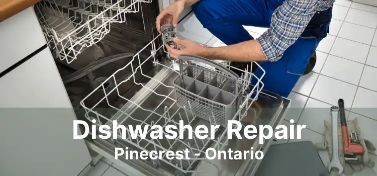 Dishwasher Repair Pinecrest - Ontario