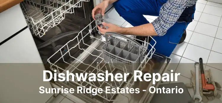 Dishwasher Repair Sunrise Ridge Estates - Ontario