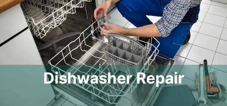 Dishwasher Repair
