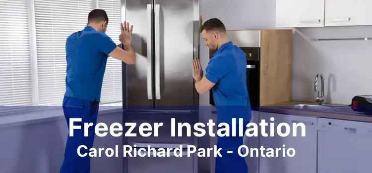 Freezer Installation Carol Richard Park - Ontario