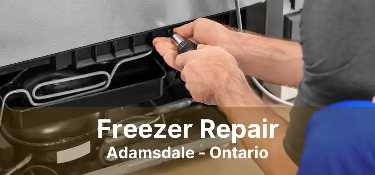 Freezer Repair Adamsdale - Ontario