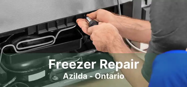 Freezer Repair Azilda - Ontario