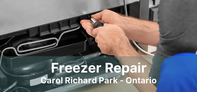 Freezer Repair Carol Richard Park - Ontario