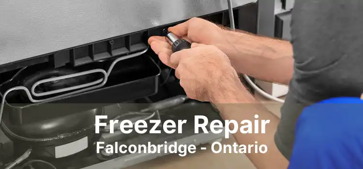Freezer Repair Falconbridge - Ontario