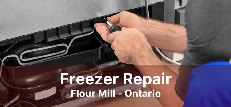 Freezer Repair Flour Mill - Ontario