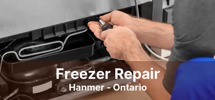 Freezer Repair Hanmer - Ontario