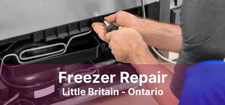 Freezer Repair Little Britain - Ontario