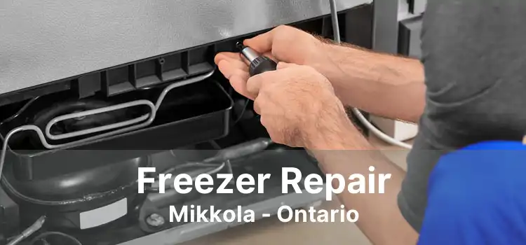 Freezer Repair Mikkola - Ontario