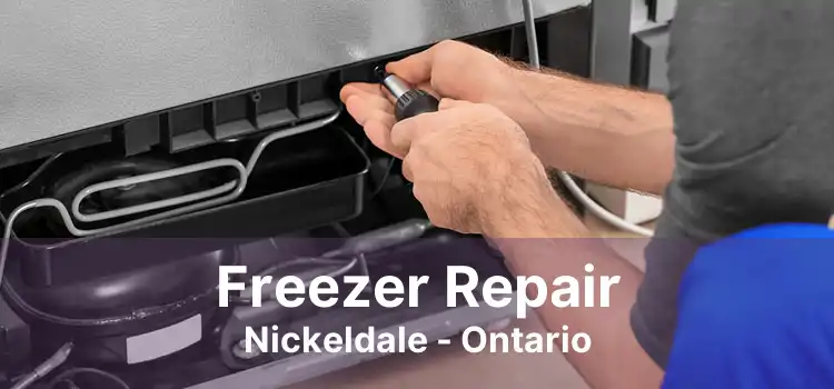 Freezer Repair Nickeldale - Ontario