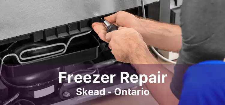 Freezer Repair Skead - Ontario
