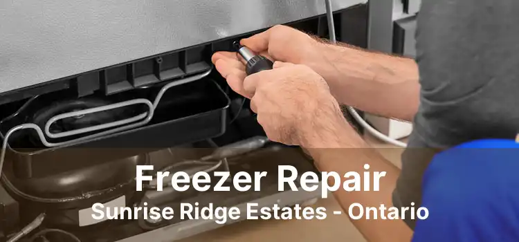 Freezer Repair Sunrise Ridge Estates - Ontario