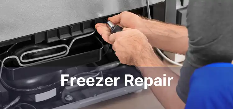 Freezer Repair