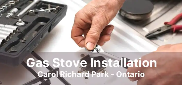 Gas Stove Installation Carol Richard Park - Ontario