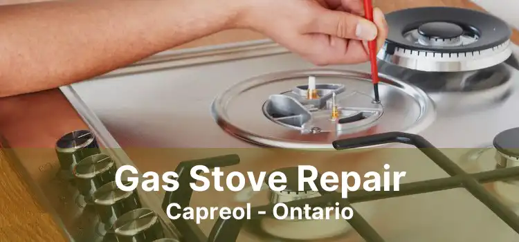 Gas Stove Repair Capreol - Ontario