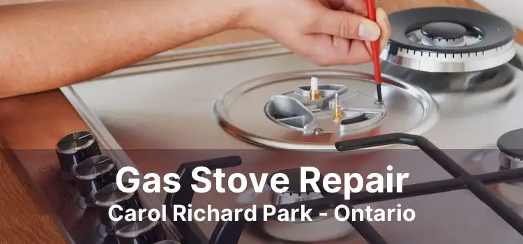 Gas Stove Repair Carol Richard Park - Ontario