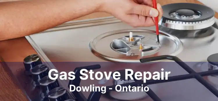 Gas Stove Repair Dowling - Ontario