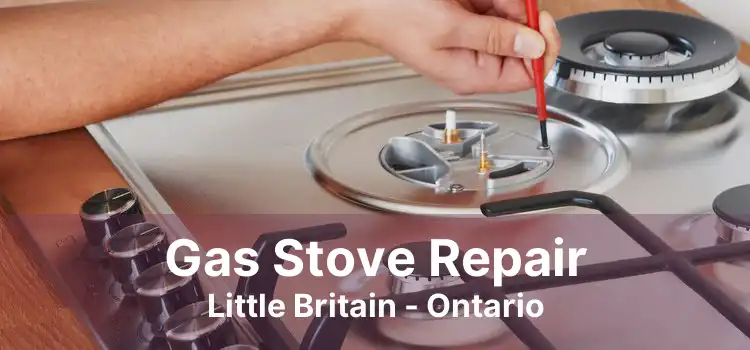 Gas Stove Repair Little Britain - Ontario