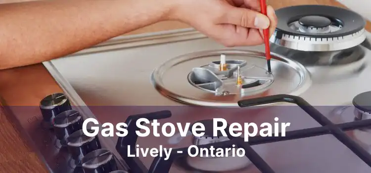 Gas Stove Repair Lively - Ontario