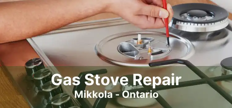 Gas Stove Repair Mikkola - Ontario