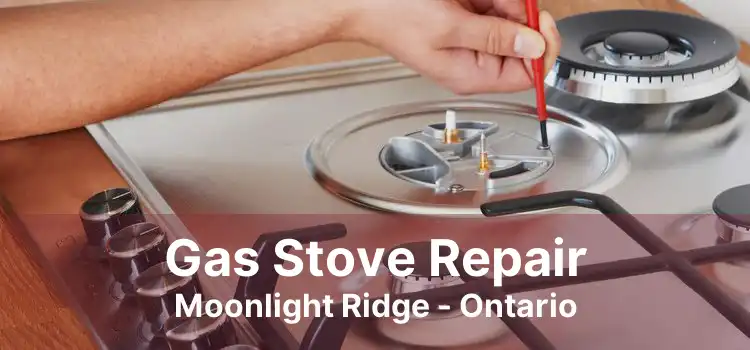 Gas Stove Repair Moonlight Ridge - Ontario
