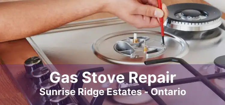 Gas Stove Repair Sunrise Ridge Estates - Ontario