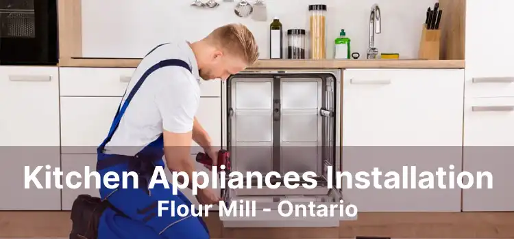 Kitchen Appliances Installation Flour Mill - Ontario