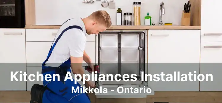 Kitchen Appliances Installation Mikkola - Ontario