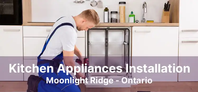 Kitchen Appliances Installation Moonlight Ridge - Ontario