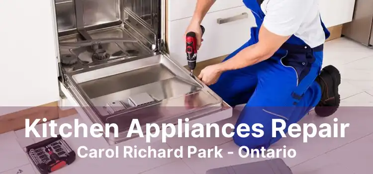 Kitchen Appliances Repair Carol Richard Park - Ontario