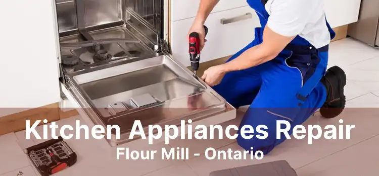 Kitchen Appliances Repair Flour Mill - Ontario