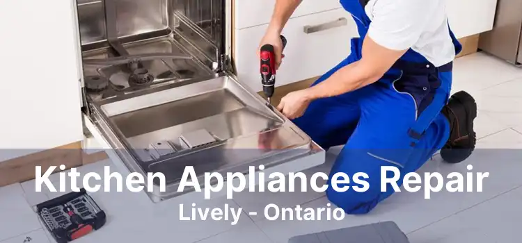 Kitchen Appliances Repair Lively - Ontario