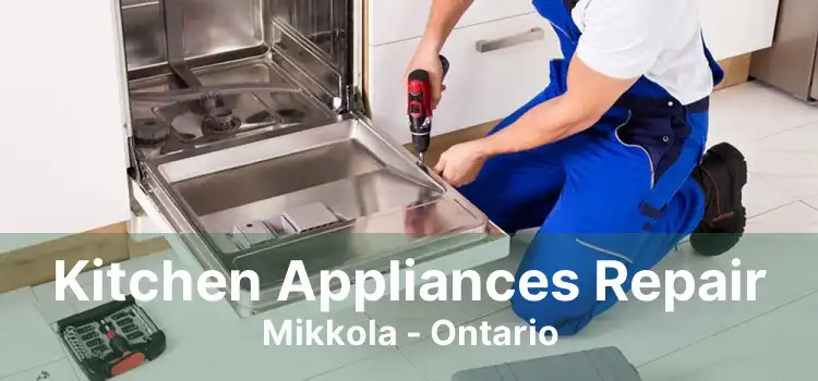 Kitchen Appliances Repair Mikkola - Ontario