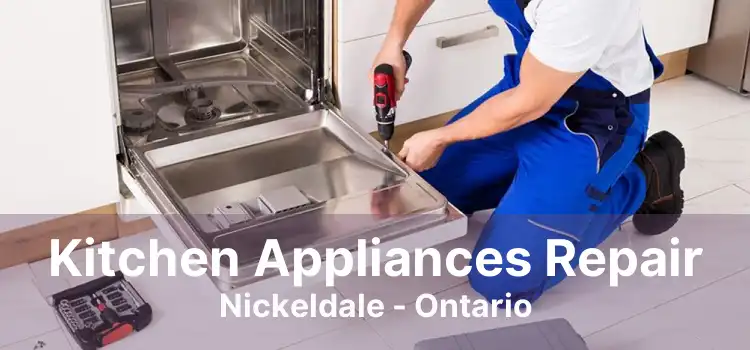 Kitchen Appliances Repair Nickeldale - Ontario